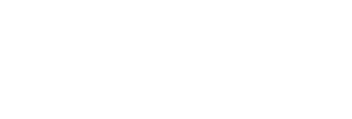 Logo de Cerebro Curioso