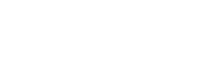Logo de DEBI